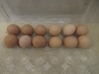 Chicken Eggs - Empty Real Blown Eggs Multiple Colors Crafts Easter - 12 Eggs