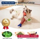 Cat Toys Saury Fish  3 Pack  Catnip Crinkle Sound  Soft And Durable  Interactive