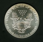 1993 Silver American Eagle Coin One Dollar 1 Troy Oz  999 Fine Bu White