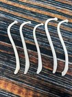 5 Real Jumbo Raccoon Baculum Penis Gag Gift Toothpick Mounts Dick Joke Art Craft