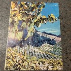 Illustrated Cartoon Wine Map  Menu Of Ca - Ruth Taylor White Circa 1945 Ripley s