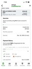 Wells Fargo Authorized User 17k Credit Limit 6 Month Age Perfect History Repair