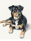 Original 5x7 8x10 11x14  Custom Hand Painted Watercolor Pet Portraits