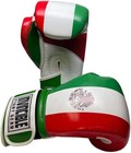 Invincible Fight Gear Hook And Loop Leather Training Gloves With Mexican Flag