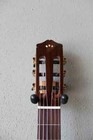 Brand New Cordoba C7 Spruce Top Classical Guitar With Gig Bag