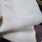 7in Real Stingray Fish Skin Raw Skin Embryo Translucent Fish Skin Leather White