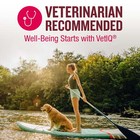 Multi Vitamin Supplement For Dogs  Hickory Smoke Flavored Soft Chews