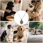 Paw Print Heart Pet Ashes Rainbow Memorial Necklace With Inner Box For Dog cat