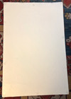 Violent Femmes Rare   Rockin  Large Original  2005 Promo Poster Tour Blank
