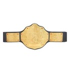 Wwe World Heavyweight Championship Replica Title Belt Wrestling Adult Size Belt