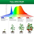 3 Pack 10w 150w Led Grow Light Bulb Indoor Plants Full Spectrum Grow Lamp Sansi