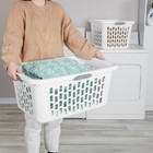Sterilite Laundry Basket  2 Bushel Plastic Hamper With Handles  White  6 Pack