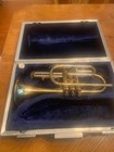 Renyolds Medalist Cornet   207770  1965  With Orig Case And Mp  Very Nice 