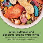 Kaytee Fiesta Mouse   Rat Food  Nutritious And Fun Blend  Supports Dental Health