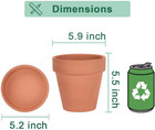 6 Inch Terracotta   Clay Pots For Plant With Saucer  2 Pack