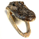Vintage 6    Small Alligator Caimen Head Taxidermy Sharp Teeth Authentic Piece