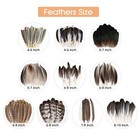 120pcs Natural Pheasant Feathers Bulk Spotted Feathers 10 Styles Mixed Feathe   