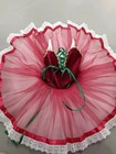 Children s Ballet Dance Costume Red Fairy Tutu Skirt Cherry Carrot Professional