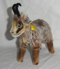 Vintage Steiff Billy Goat   W original Button  Ear   Chest Tags   Mohair   6317 