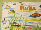 Vintage Florida Colorful Fish Sea Life Lobster Seahorse Souvenir Handkerchief