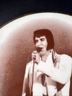1977 Elvis Presley Memorial Plate Character Plates  2067 5000 Limited Edition