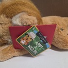 Fao Schwarz Adopt A Wild Pal Lion Plush Stuffed Animal Large  2022