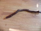 Red Manzanita Branch Bird Perch