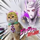 Jojo s Bizarre Adventure Kira Yoshikage Cat Tie Pet Clothing Accessory T-shirt