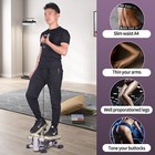 Leikefitness Premium Portable Climber Stair Stepper   Waist Fitness Twister 