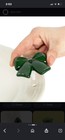Nora Fleming Mini Retired   Wrap It Up Green Bow A418