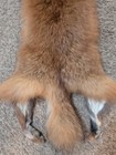 Just Tanned Red Fox Pelt nice Fur No 2 Pelt  Cabin Craft  Super Soft Hide