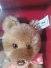 Vintage Steiff Jackie 1953 Replica Le Genuine Mohair Teddy Bear Coa New 1989 7 