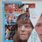 Teen Wolf 1985  Original Movie Poster B Japanese B2 Michael J  Fox