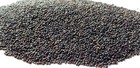 Catnip Seeds Heirloom Nepeta Cataria Packed For 2025 Grown Organically 300mg