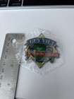 2015 Little League World Series Umpire Pin Guy Vilt