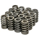 550  Lift Beehive Valve Spring Kit Fits 4 8 5 3 6 0 6 2 Ls1 Ls2 Ls3 Ls6 Lq4 Lq9