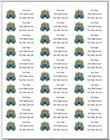 150 Peacock Pretty Colorful  Return Address Labels Personalized Printed