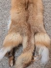 Just Tanned Red Fox Pelt nice Fur No 2 Pelt  Cabin Craft  Super Soft Hide