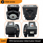 Pure Copper Diesel Generator Brushless Excitation Single Phase 220v 60hz 16 5kw