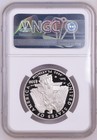 2008 W  100 1 Oz 9995 Platinum American Eagle Proof Coin Ngc Pf70 Ucam Key Date