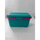Vintage Eagle Craftstor 20  Craft Storage Tote Teal Pink Purple Removable Tray