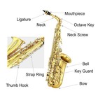 Gold Lacquer Alto Saxophone E Flat Alto Beginner Sax Full Kit Carrying Sax Case