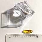 Baltic Amber 2 Insect Inclusions With 4x Magnifying Case Includes Coa