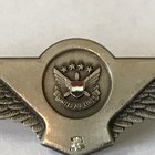 Vintage United Airlines Flight Attendant Wings Pin 1 Gem