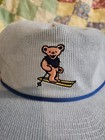 Grateful Dead Skiing Teton Gravity Research Snapback Hat Cap Corduroy Rope Tgr