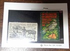 101bk Black G k Dealer Sales Archival Card X100 Stamp Collection 3 1 2  X 2 7 16
