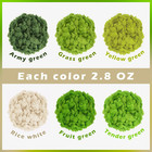 6 Colors Preserved Moss-16 9 Oz Natural Reindeer Moss-moss For Crafts  Potted Pl