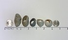 5 Holey Beach Rocks Adder Hag Stones Natural Large Hole 3 8  Fairy Magic  3p Usa