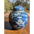 Antique Chinese Blue   White Porcelain Prunus Ginger Jar - 5 5 