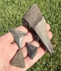 Lot Of Megalodon   Mako Real Shark Tooth Fossils Shark Teeth